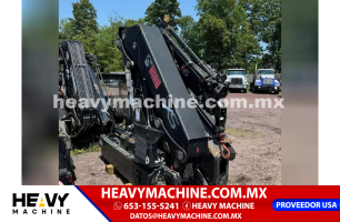 Grúa Articulada 2009