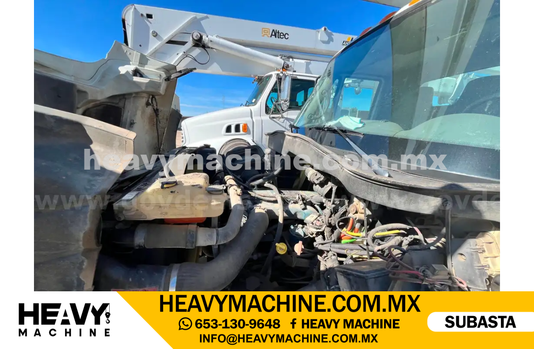 Grúa Canastilla 2007 INTERNATIONAL 7300