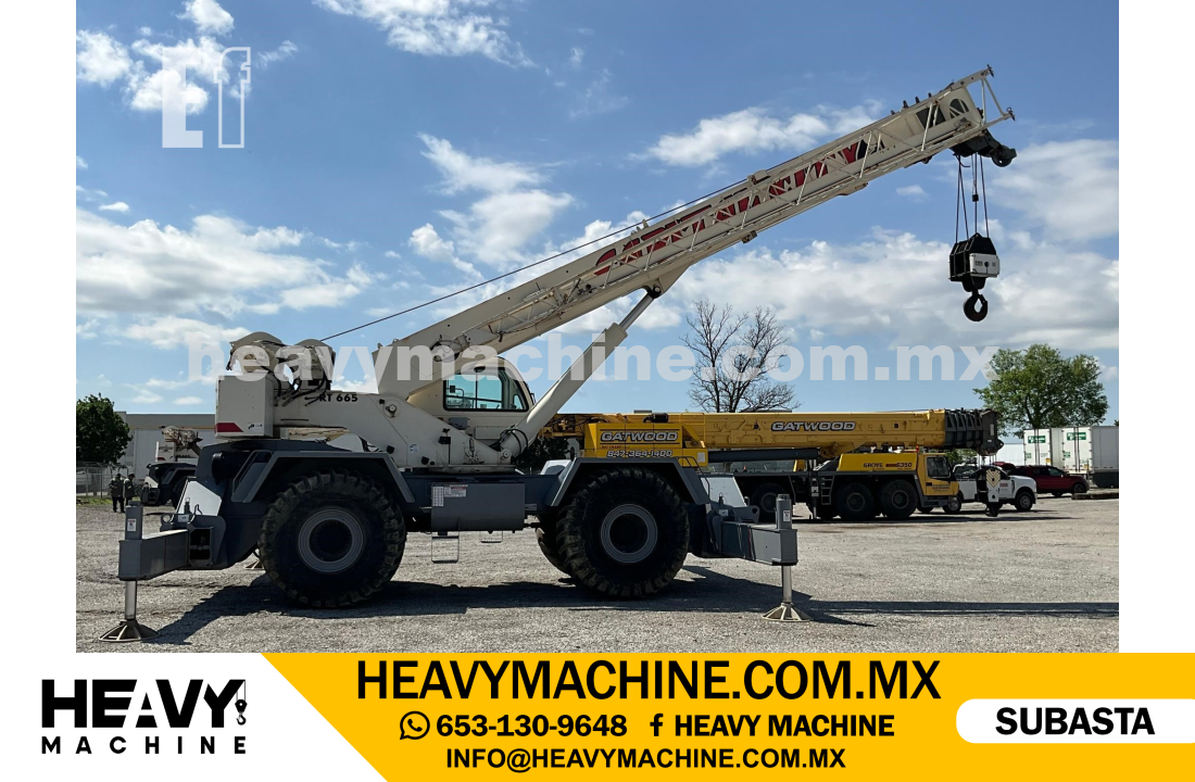 Grúa RT 2003 TEREX RT665