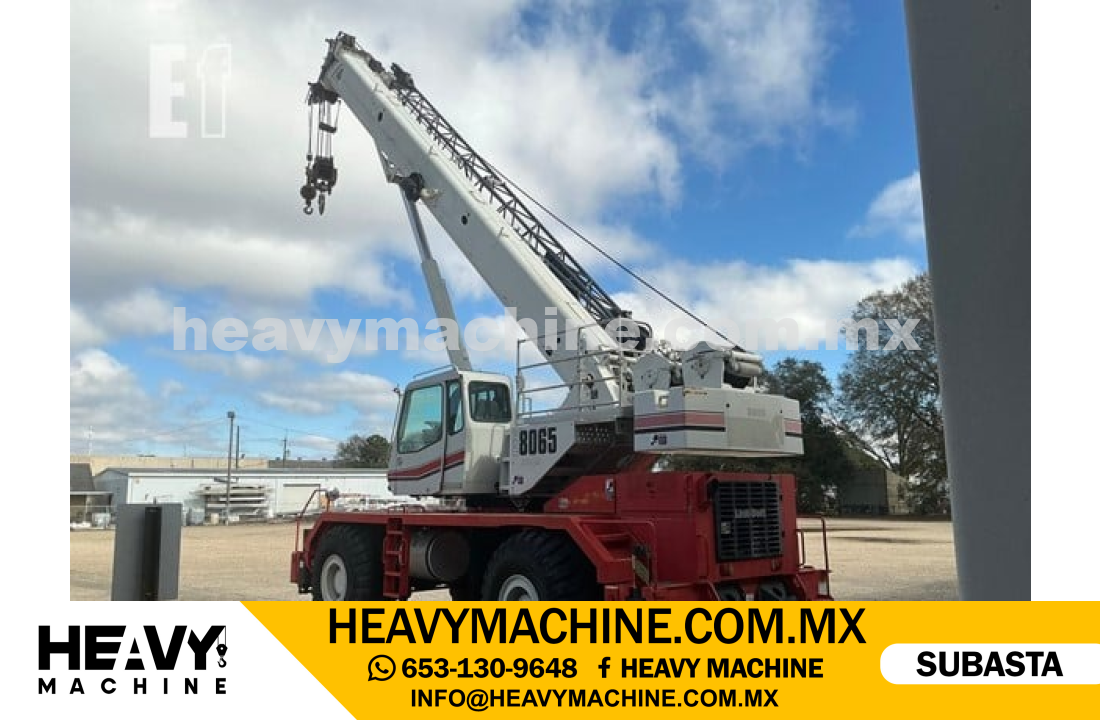 Grúa RT 2013 LINK-BELT RTC-8065