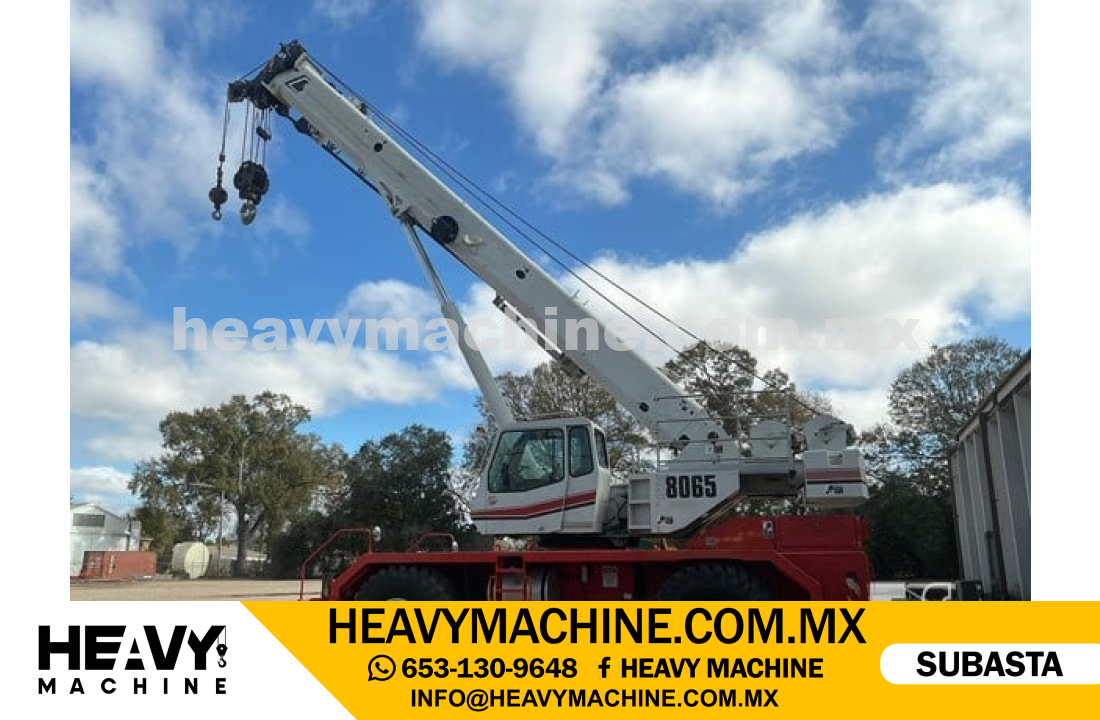 Grúa RT 2013 LINK-BELT RTC-8065