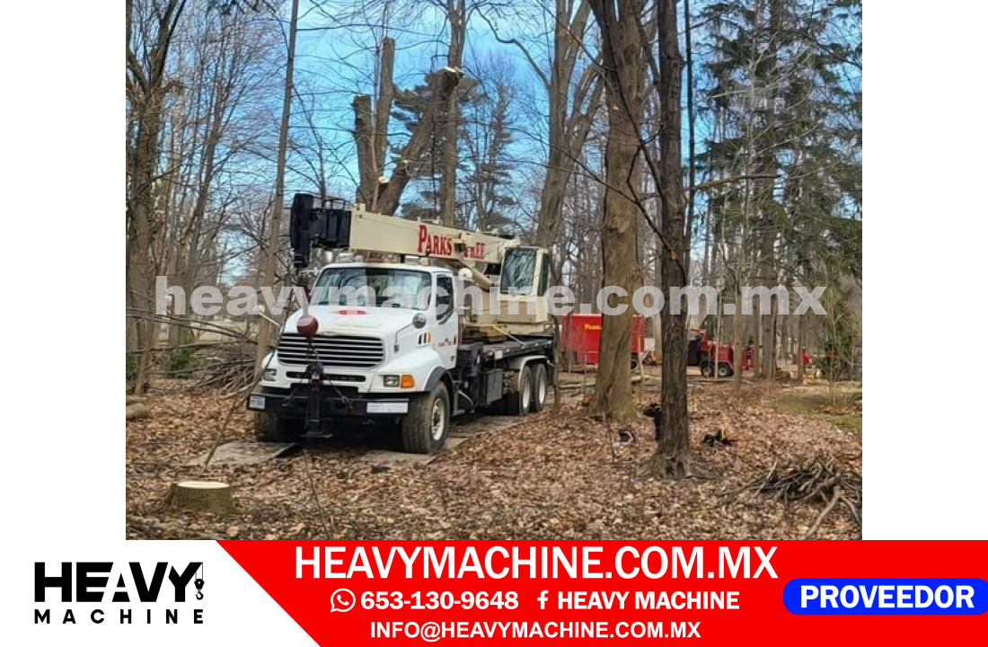 Grúa Titán 2004 STERLING L9500