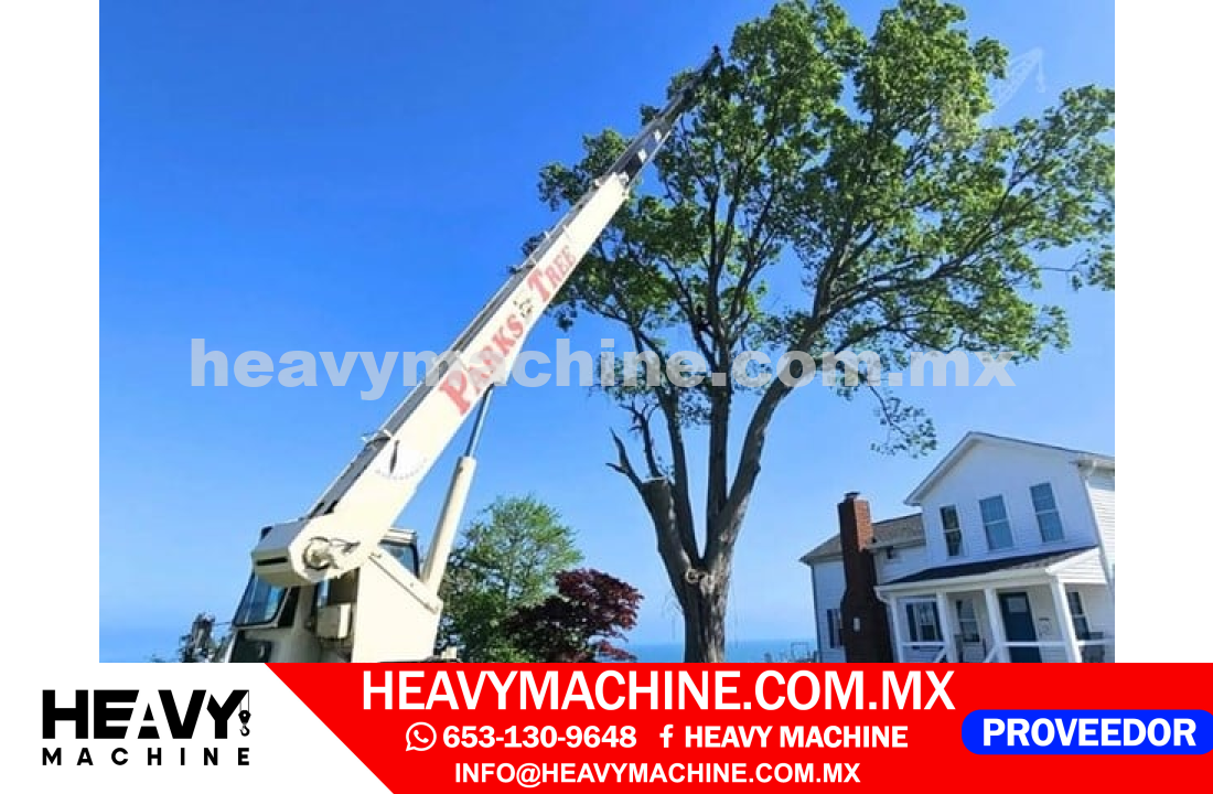 Grúa Titán 2004 STERLING L9500