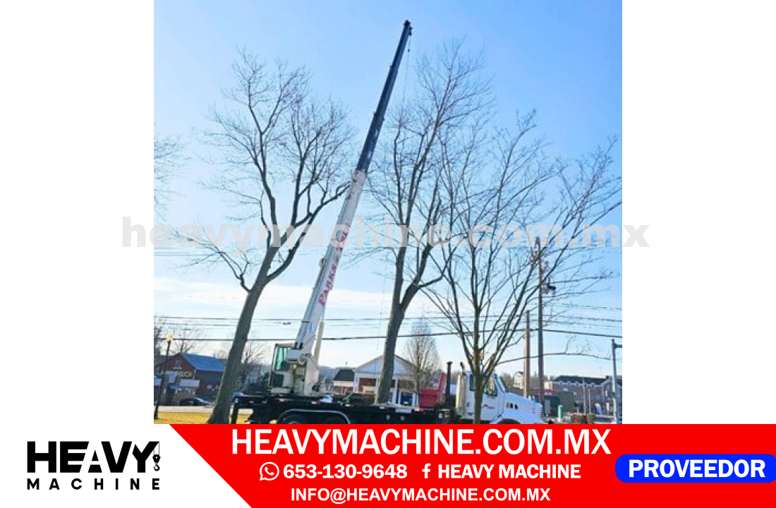 Grúa Titán 2004 STERLING L9500