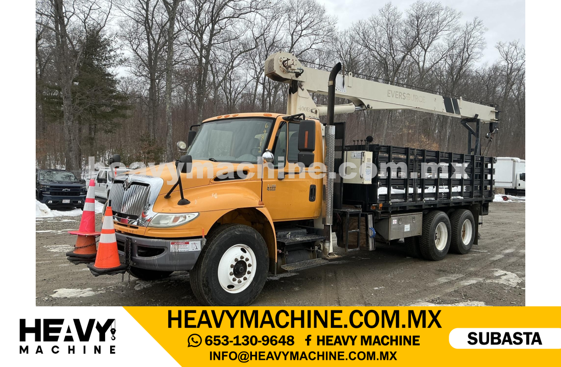 Grúa Titán 2006 INTERNATIONAL 4400