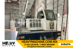 Grúa Todo terreno 2004 TEREX T340-1XL