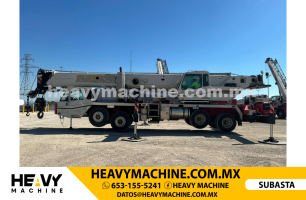 Grúa Todo terreno 2007 LINK-BELT HTC8690